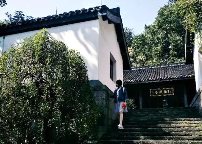 浙江工業(yè)大學(xué)毛露婷：從現(xiàn)在開(kāi)始讓自己努力變強(qiáng)吧！